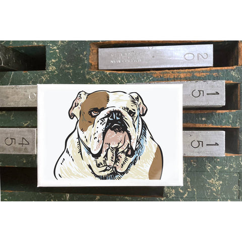 RAN-30 Bulldog, White