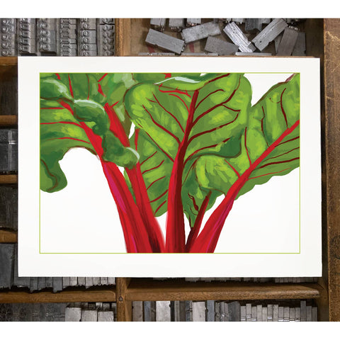 RFM-180 Swiss Chard