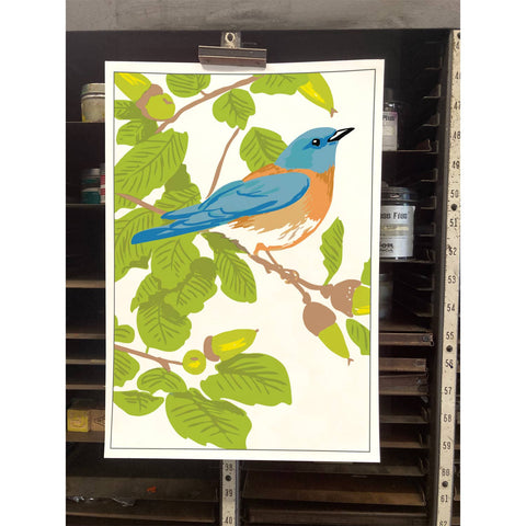 RBI-104 Bluebird & Live Oak
