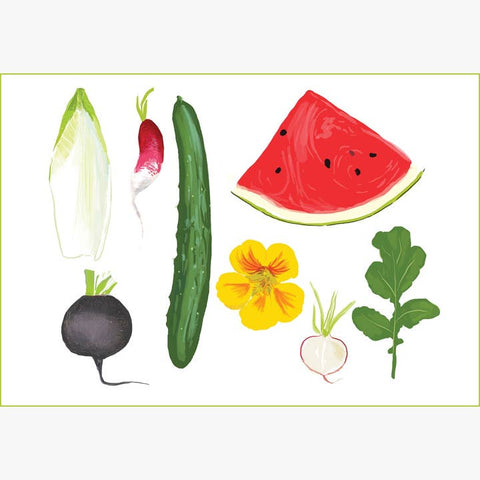 RFM-419 Watermelon and Cucumber