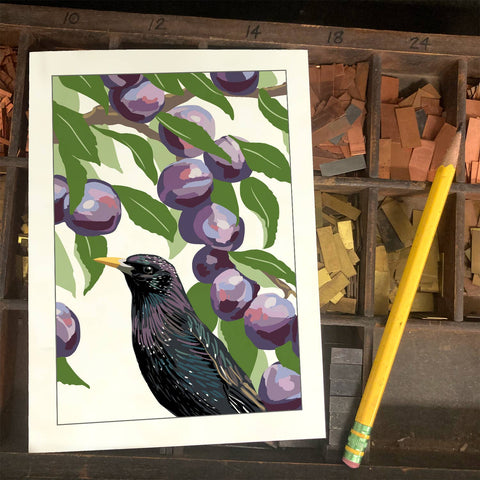 RBI-226 Starling & Plums