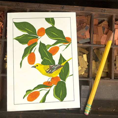 RBI-236 Orchard Oriole and Kumquats
