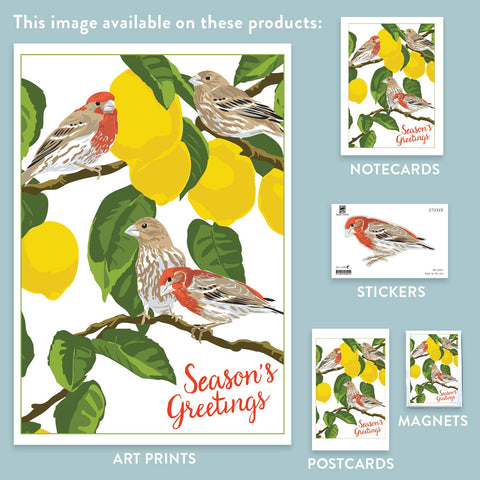 RHO-224 House Finches & Lemon Tree - Season's Greetings