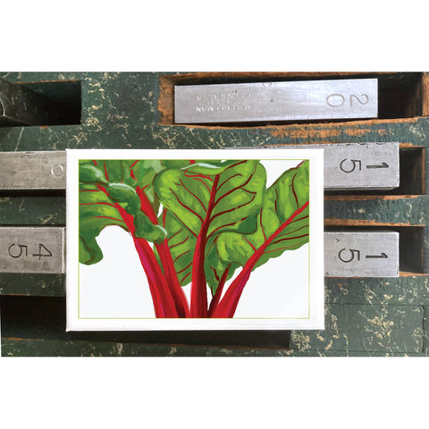 RFM-180 Swiss Chard
