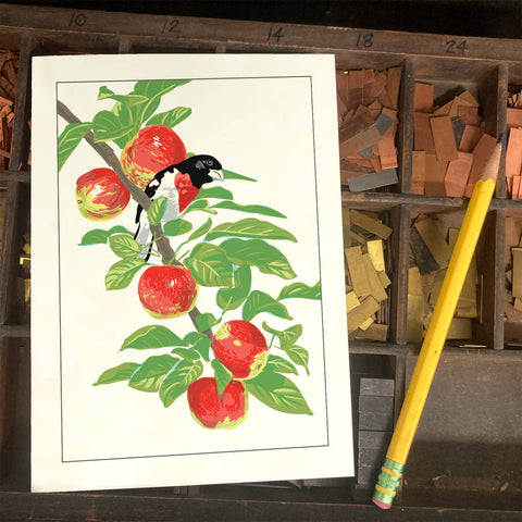 RBI-216 Rose-Breasted Grosbeak & Apple