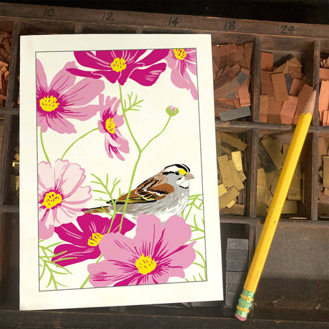 RBI-223 White-Throated Sparrow & Cosmos