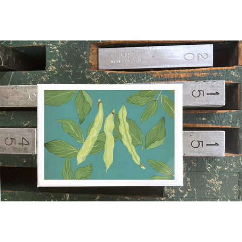 RFM-412 Fava Beans