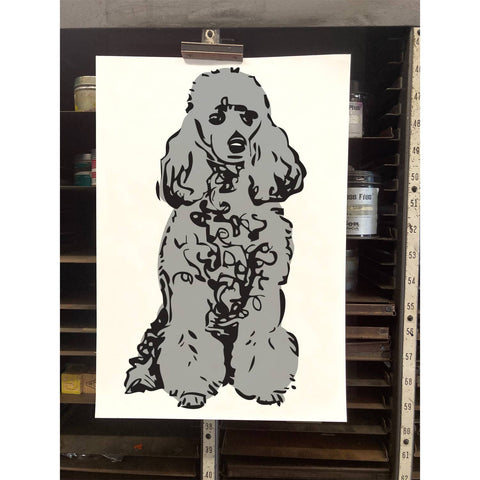 RAN-68 Poodle, Grey