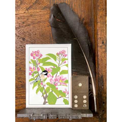 RBI-207 Chickadee Apple Blossoms
