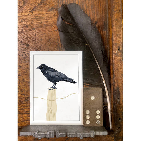 RBI-20 Raven on Fencepost