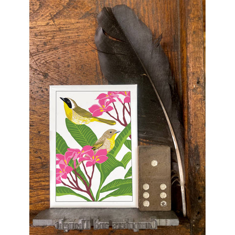 RBI-145 Common Yellowthroat & Plumeria