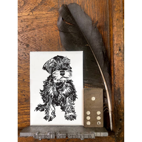 RAN-66 Mini Schnauzer