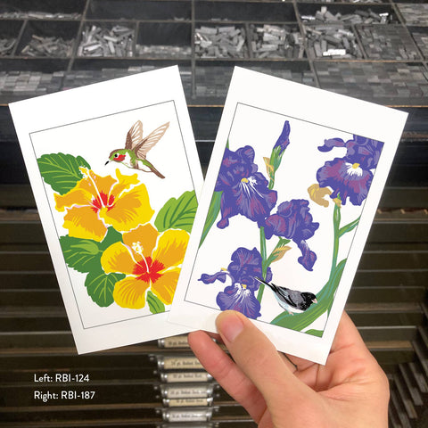 RBI-187 Iris and Junco