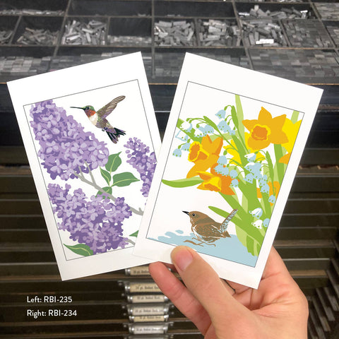 RBI-234 House Wren and Spring Flowers