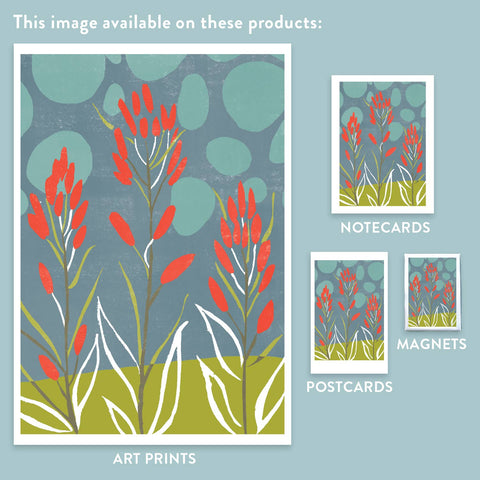 RFL-306 Indian Paintbrush