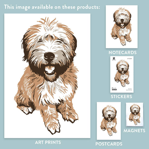 RAN-73 Wheaton Terrier