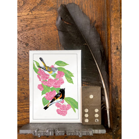 RBI-186 American Redstart and Cherry
