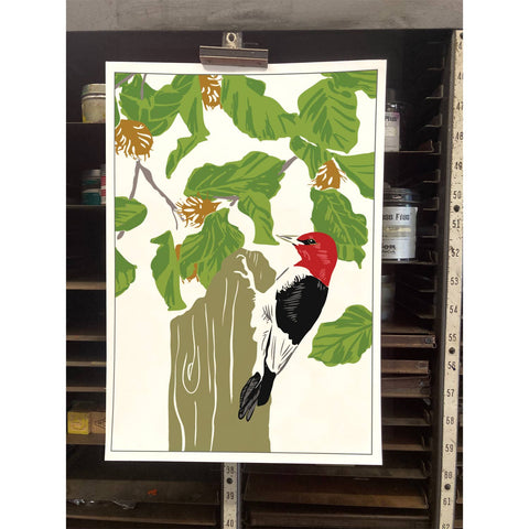 RBI-205 Red-headed Woodpecker