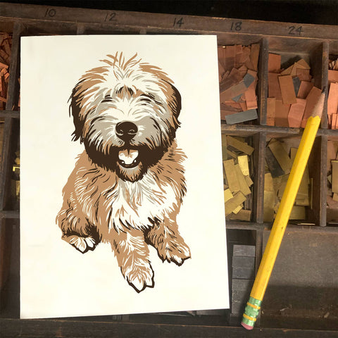 RAN-73 Wheaton Terrier