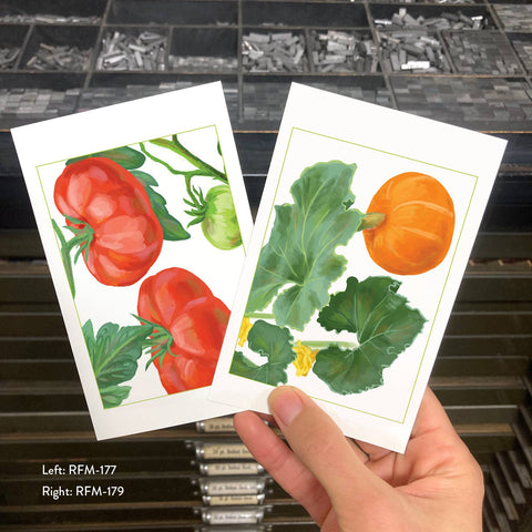 RFM-177 Tomatoes