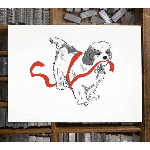 RAN-22 Shih Tzu and Red Ribbon
