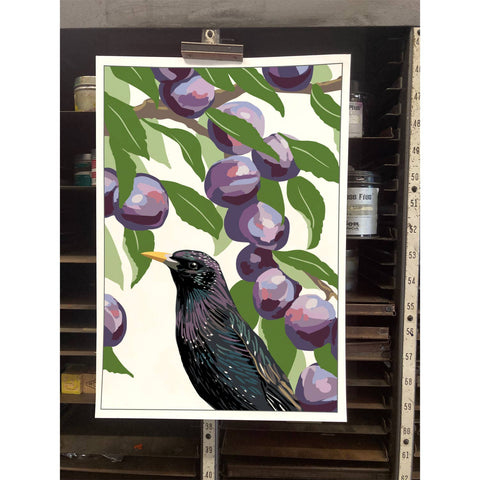 RBI-226 Starling & Plums