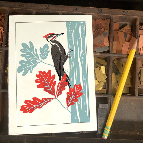 RBI-192 Pileated Woodpecker and Oak