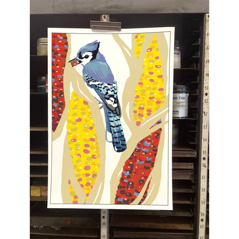 RBI-229 Blue Jay and Corn