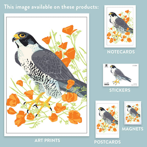 RBI-9153 Peregrine Falcon and California Poppies