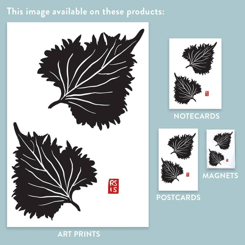 RFM-529 Shiso Leaves