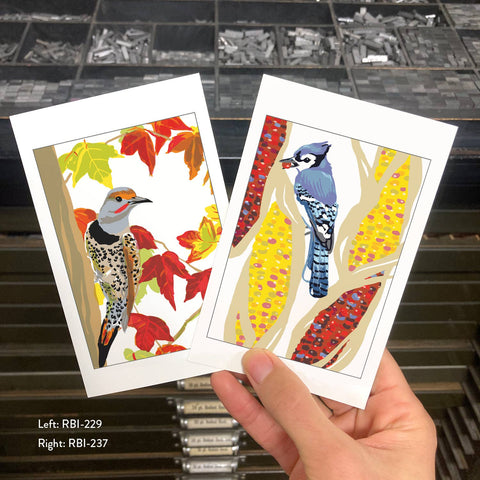 RBI-237 Northern Flicker and Autumn Leaves