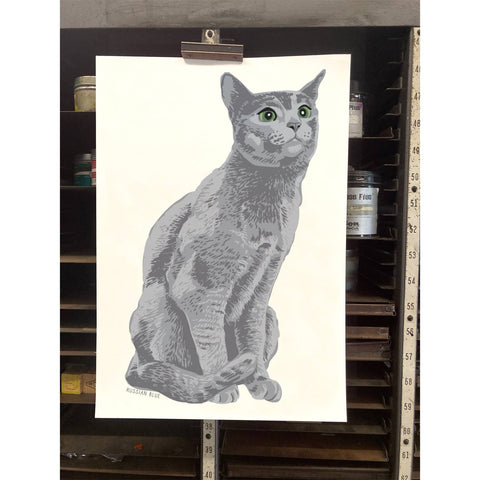 RAN-38 Russian Blue Cat
