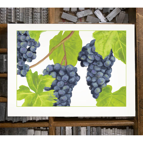 RFM-178 Grapes