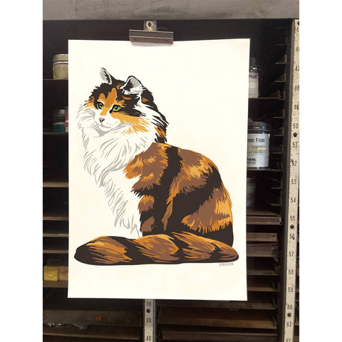 RAN-36 Siberian Cat