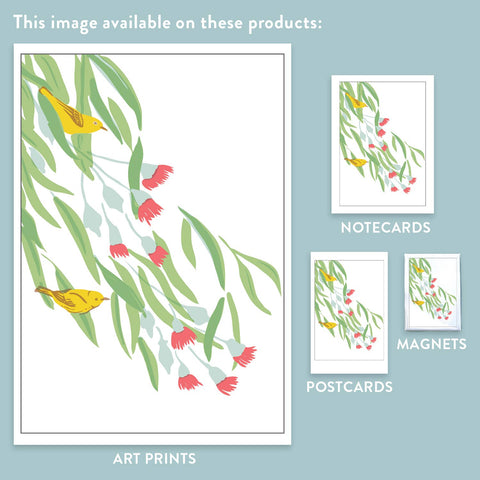 RBI-97 Eucalyptus & Warblers