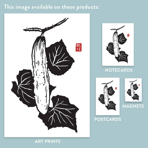 RFM-534 Japanese Cucumber