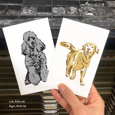RAN-68 Poodle, Grey