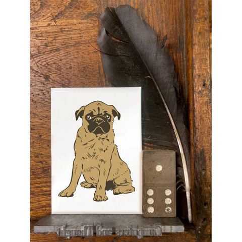 RAN-70 Pug Puppy