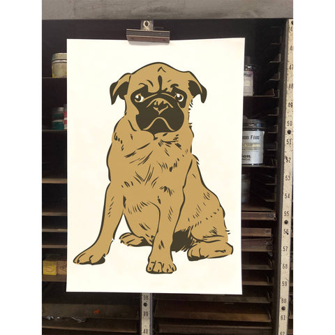RAN-70 Pug Puppy