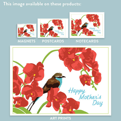 RMD-100 Orchids - Mother's Day