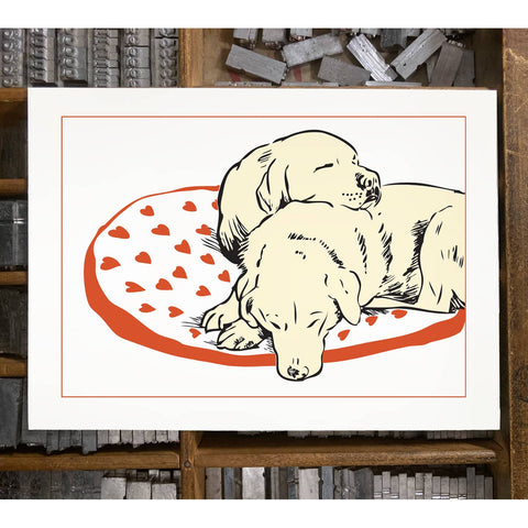 RLO-47 Sleeping Labs