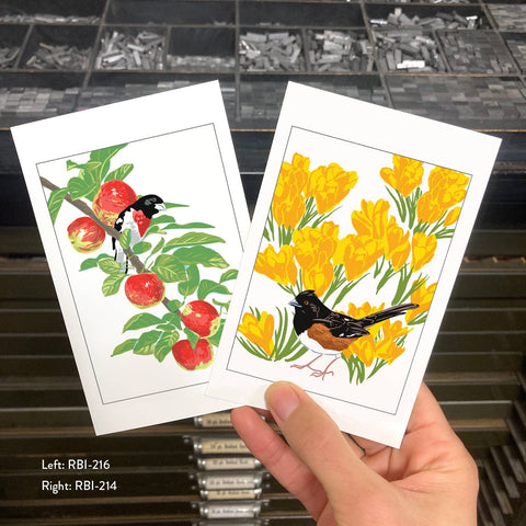 RBI-214 Towhee & Crocus