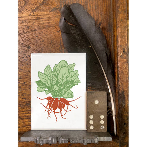 RFM-517 Red Radish