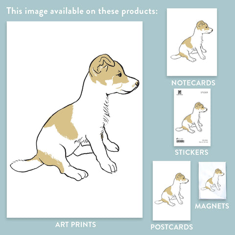 RAN-61 Jack Russell Puppy