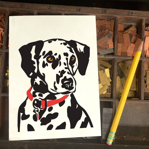 RAN-55 Dalmatian