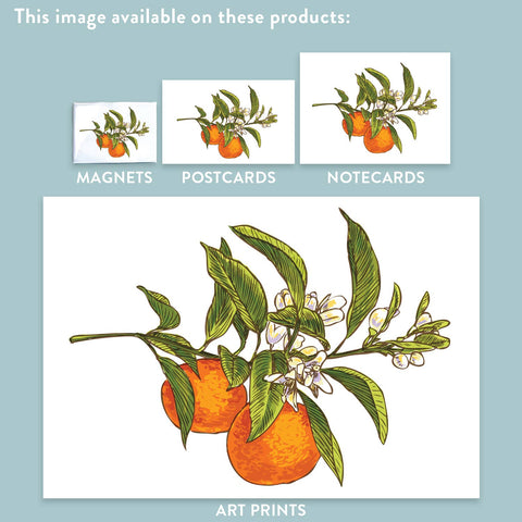 RFM-38 Oranges