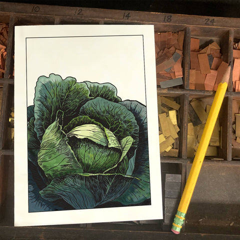 RFM-32 Cabbage