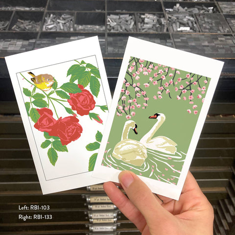 RBI-103 Vireo & Red Roses
