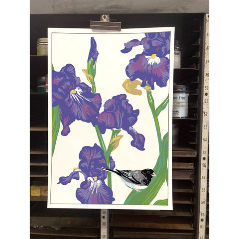 RBI-187 Iris and Junco