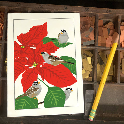 RBI-211 White-Crowned Sparrows & Poinsettias